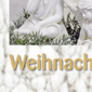 siriusmedia Werbeagentur Leipzig Referenzen Schuster Floristenbedarf