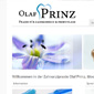 siriusmedia Werbeagentur Leipzig Referenzen Zahnarztpraxis Olaf Prinz